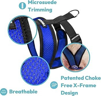 Gooby Comfort X Head in Harness - Blue, Small - No Pull Small Dog Harness, Patented Choke-Free X ... | Amazon (US)