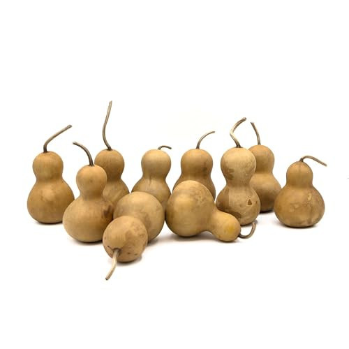 Box of 10 Bottle Gourds - 2" in Diameter, Dried Gourds for Crafting and Decorating | Amazon (US)