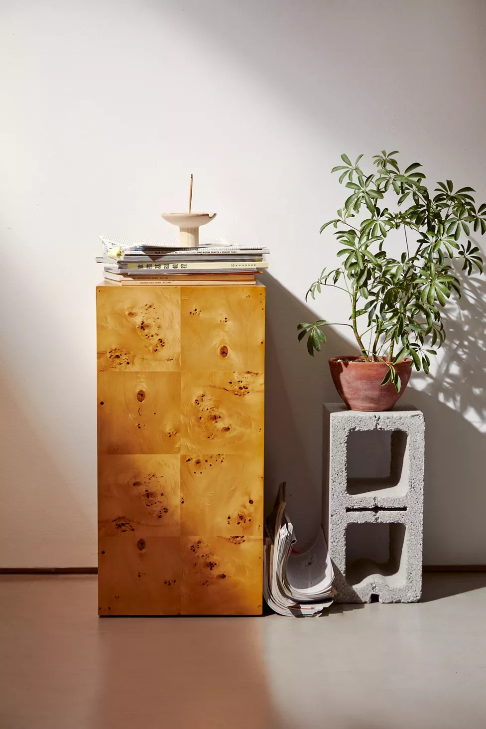 Cora Burl Wood Pedestal Side Table | Urban Outfitters (US and RoW)