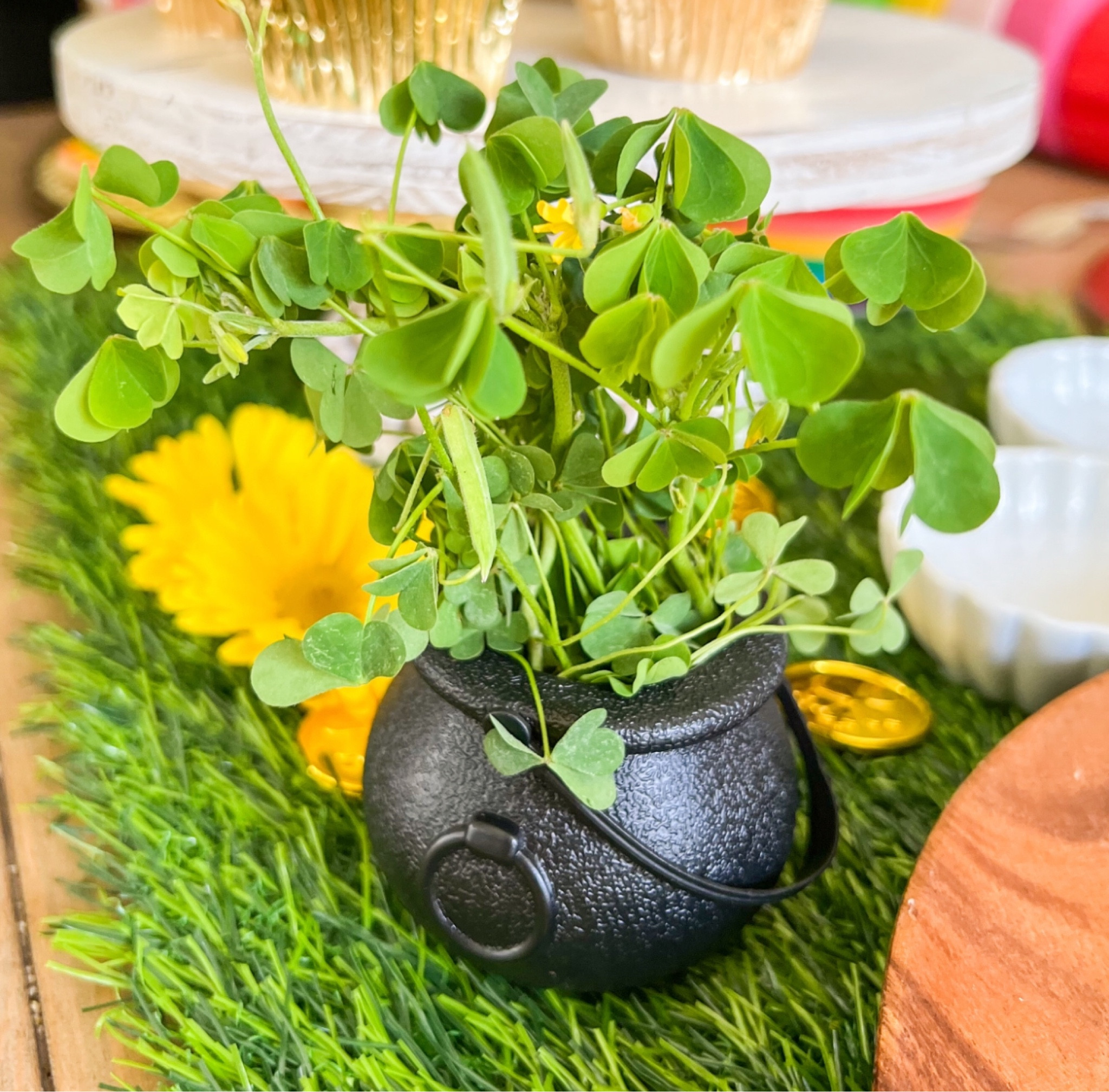 These are perfect for little pots of gold for St Patrick’s Day AND little cauldrons at Halloween 🍀🎃

#LTKSeasonal #LTKfindsunder50 #LTKparties