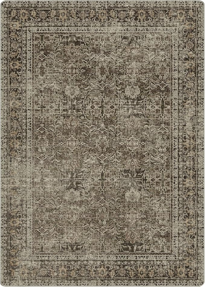 Area Rugs for Living Room Bedroom, 8x10 Machine Washable Stain Resistant Neutral Rug, Soft Vintag... | Amazon (US)