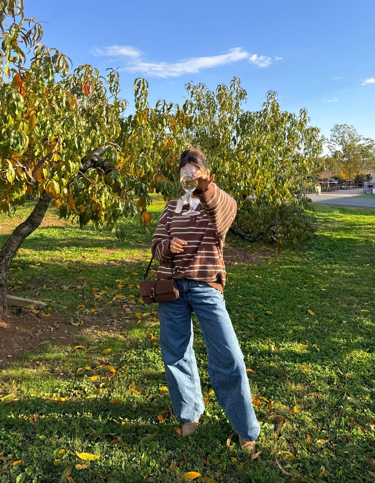 Cozy fall vineyard days — wearing this oversized striped sweater (I sized up to an XL so I can also wear it as a dress) and my favorite denim jeans (27) paired with the perfect chocolate brown suede bag 

#LTKSeasonal #LTKStyleTip #LTKFindsUnder50