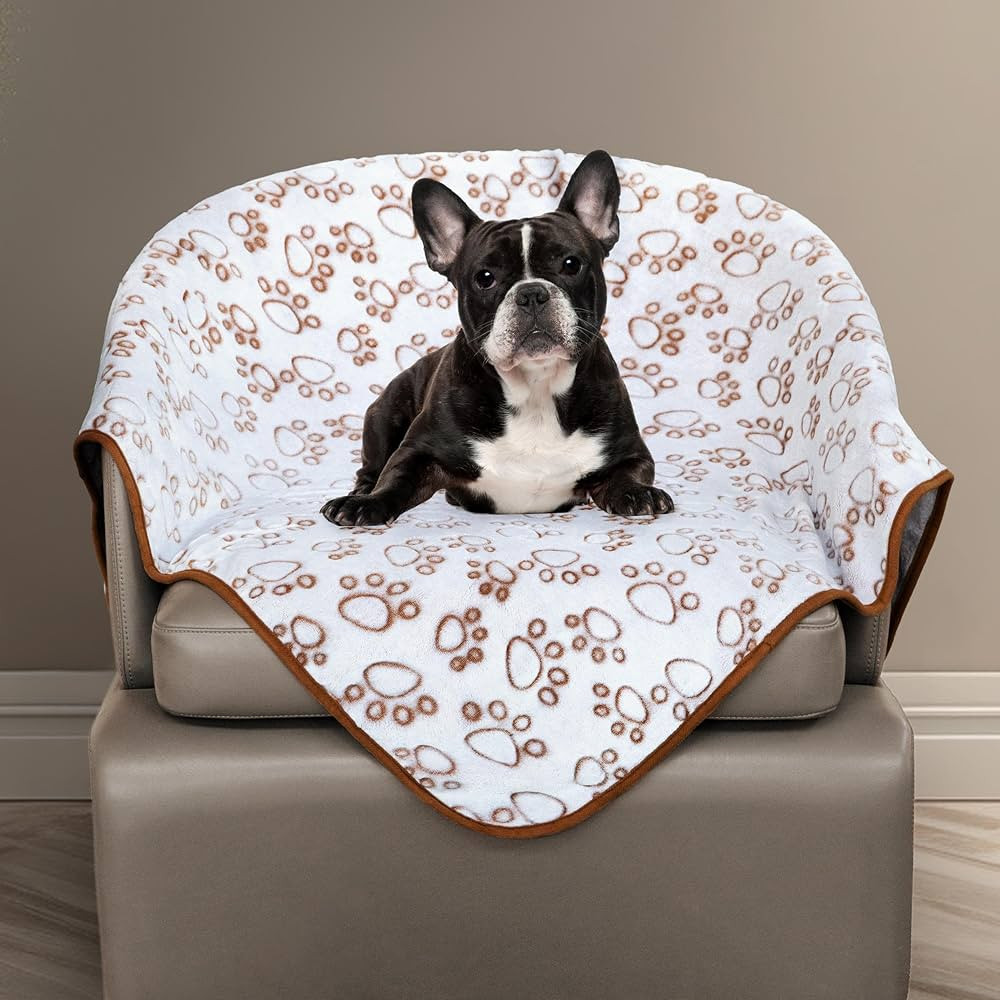 Stuffed Brown Soft Dog Blanket for French Bulldog Gifts, 43 * 66 inches, Premium Brown Flannel Fl... | Amazon (US)