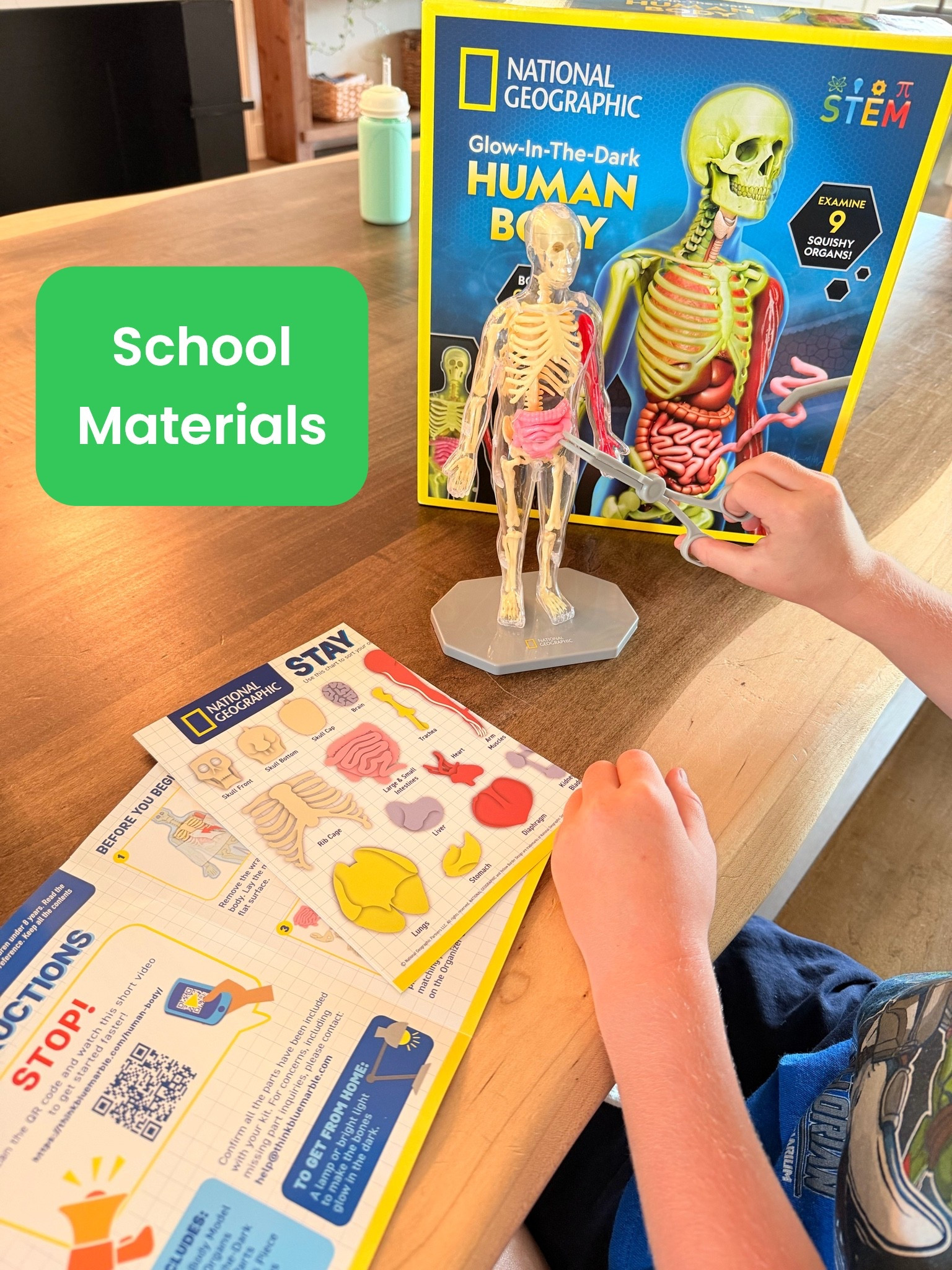 Learning about the Human Body🙌 #education #homeschool #learning #shopwithme #teacher

#LTKdayinmylife #LTKmomlife #LTKKids