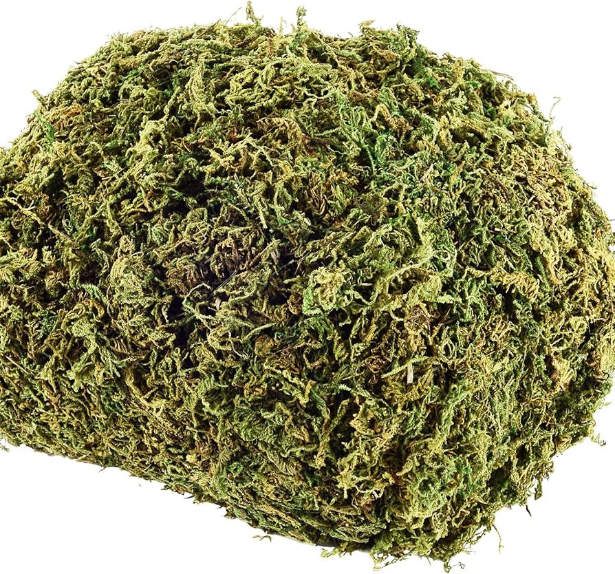 18 OZ Artificial Moss for Potted Plants & Fake Plants - Faux Decorative Moss for Planters & Craft | Amazon (US)