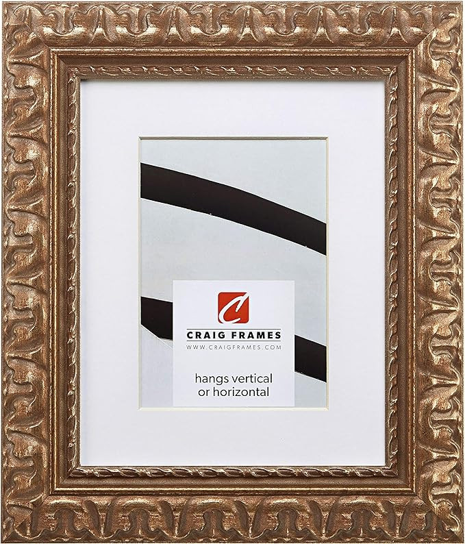 Craig Frames Bravado Ornate, 11 x 14 Inch Antique Bronze Picture Frame Matted to Display an 8 x 1... | Amazon (US)