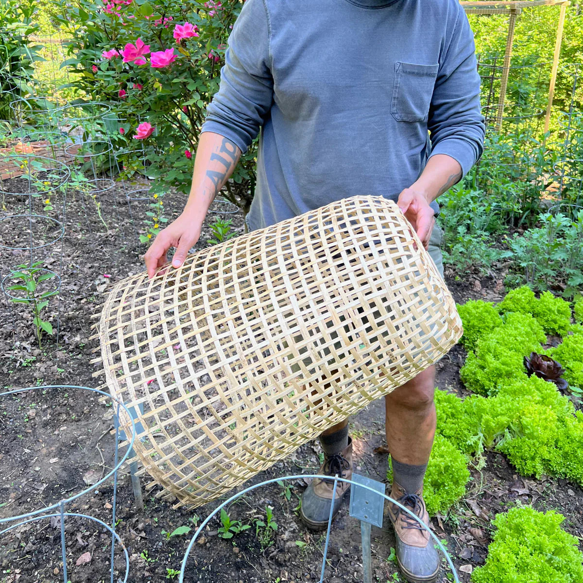 Woven Bamboo Garden Cloche | Garrett Wade