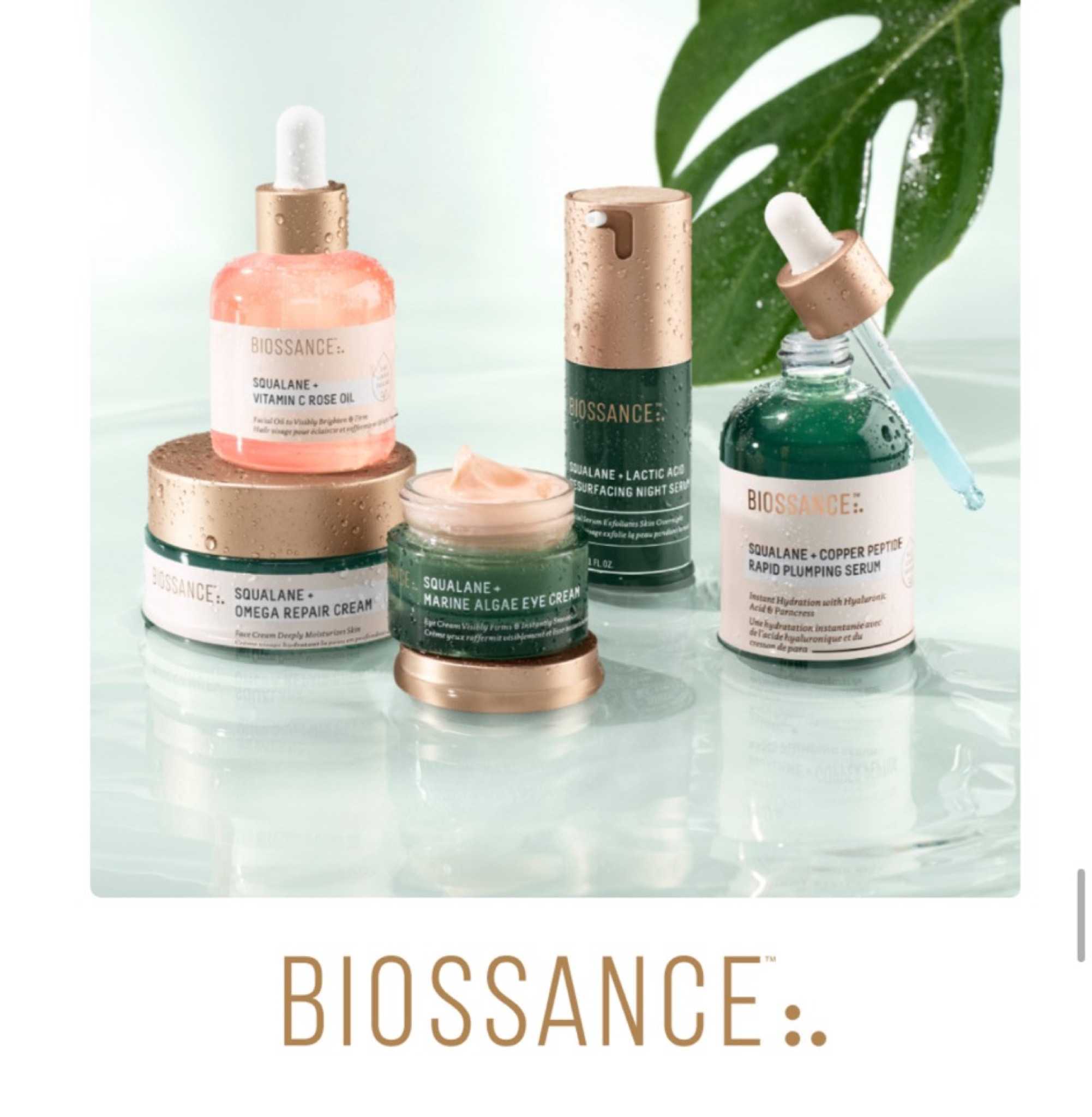 Biossance 25% off sitewide with code: Spring25
March 19-21, 2024

#LTKbeauty #LTKsalealert