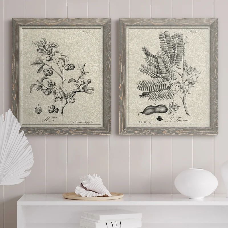 Antique Black And White Botanical IV - 2 Piece Picture Frame Painting Set on Canvas | Wayfair North America