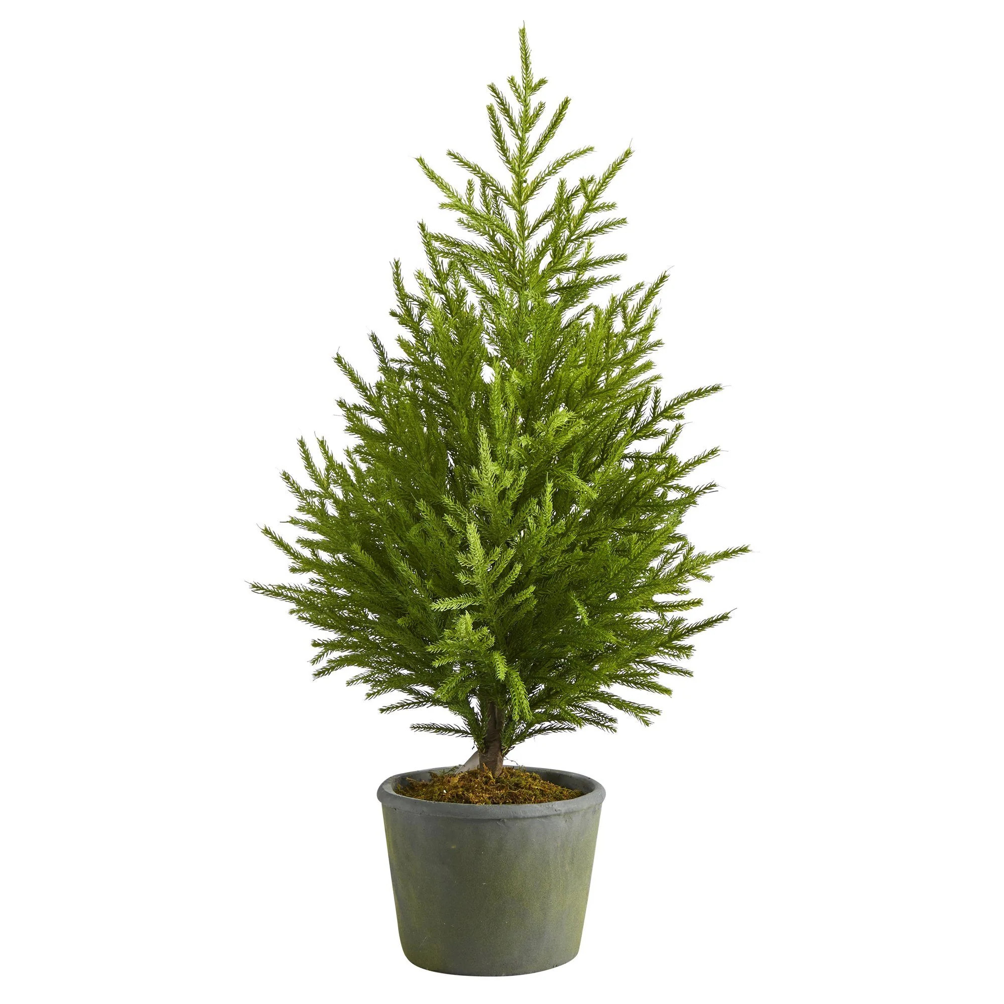 3’ Norfolk Island Pine “Natural Look” Artificial Tree in Decorative Planter | Nearly Natura... | Nearly Natural