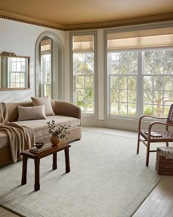 Loloi Magnolia Home by Joanna Gaines Henley Collection HNY-01 Ivory/Spa 7'-9" x 9'-9" Area Rug | Amazon (US)