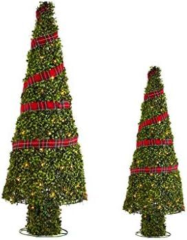 NOMA Pre-Lit Light Up Topiary Winter Garden Cone Trees 2 Piece Set | Outdoor Christmas Holiday La... | Amazon (US)