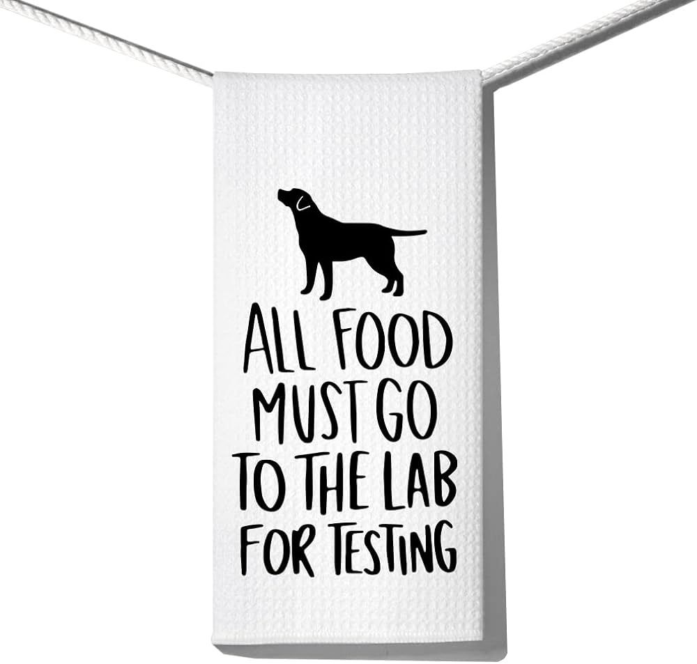 DYJYBMY All Food Must Go to The Lab for Testing, Funny Kitchen Towels, 100% Cotton, Highly Absorb... | Amazon (US)