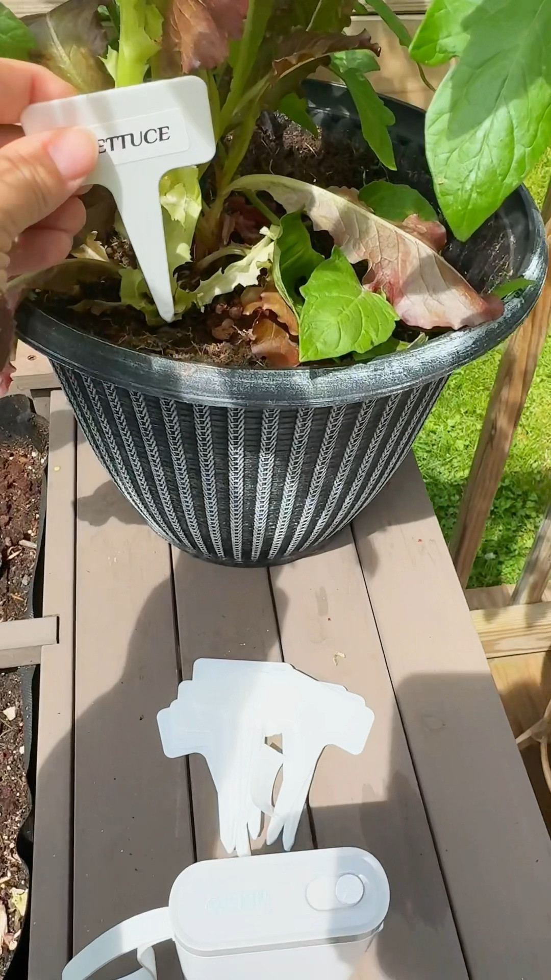 👩‍🌾Easy, reusable & personalized garden labels

🪴These garden stakes & lazer print label maker make organizing your garden a breeze.

🌷You can reuse them if you change out/plant new produce/flowers in your garden

🌿this label maker allows you to use the app to personalize labels, fonts, sizing, add pictures & more!!

Amazon finds, garden, gardening, Organization, organize, planter, garden, outdoor, summer, herbs, plants 

#LTKfindsunder50 #LTKhome #LTKSeasonal