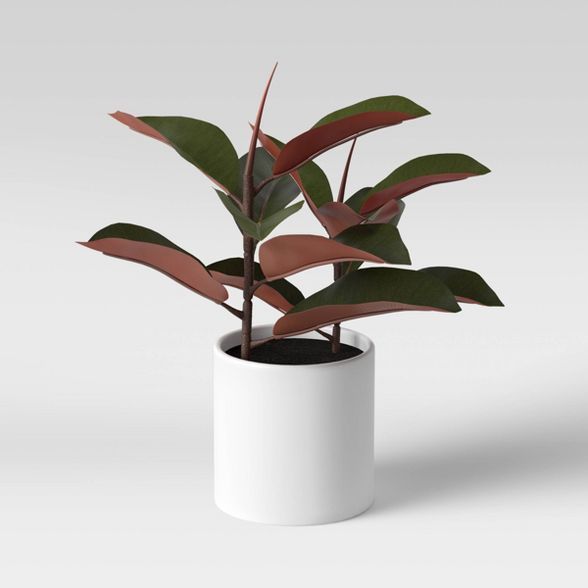 Artificial Rubber Plant in Ceramic Pot - Project 62™ | Target