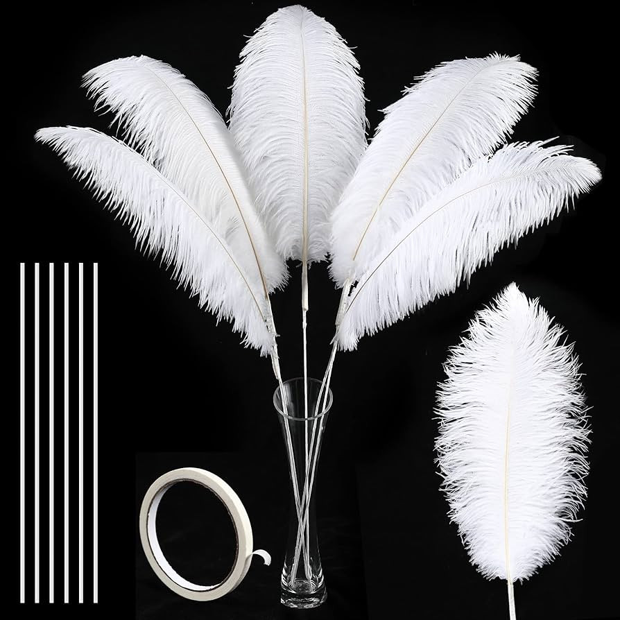 Soarer White Large Ostrich Feathers - 10Pcs Making Kit 34inch Extra Large Ostrich Feathers Long f... | Amazon (US)