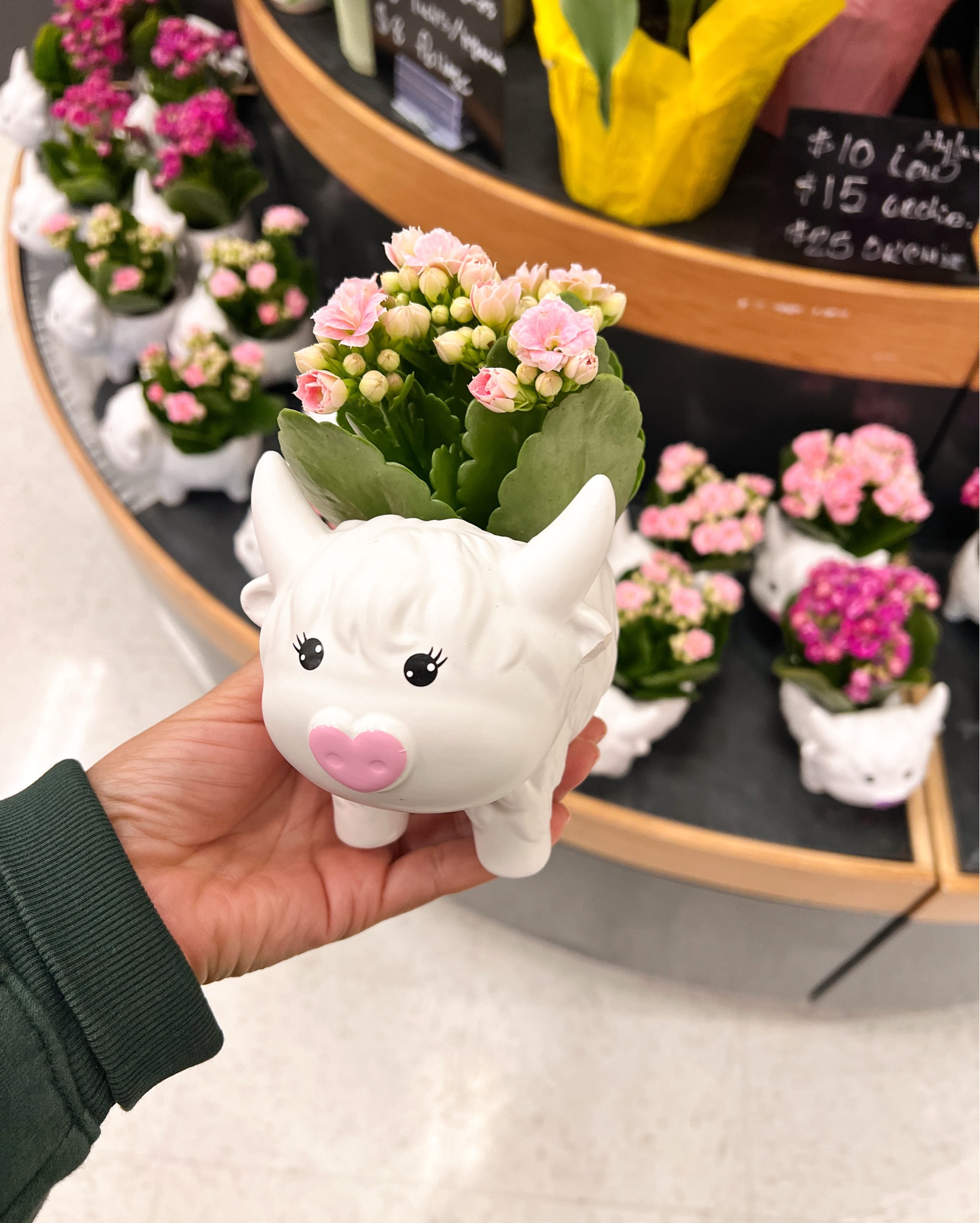The cutest Mother’s Day gifts

#targethome #giftidea 

#LTKmomlife #LTKHome #LTKMothersDay