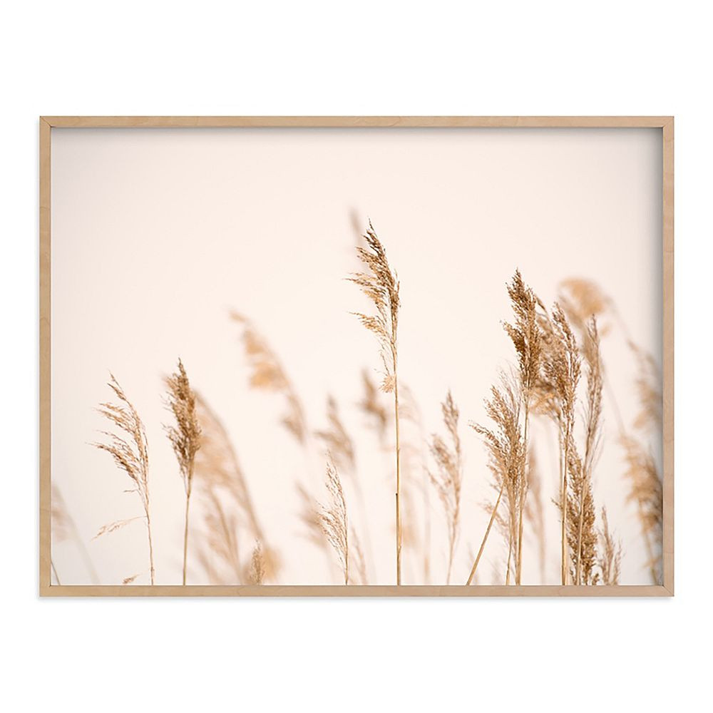 Minted® Summer Weeds Framed Art by Crystal Lynn Collins | Pottery Barn Teen