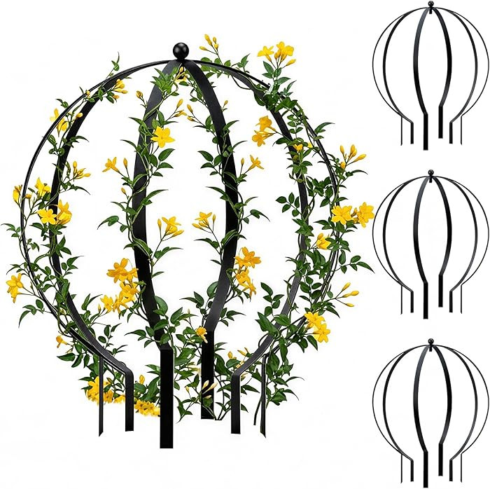 4 PCS Large Metal Round Trellis for Climbing Plants, Heavy Duty Thick Rustproof Obelisk, Garden S... | Amazon (US)