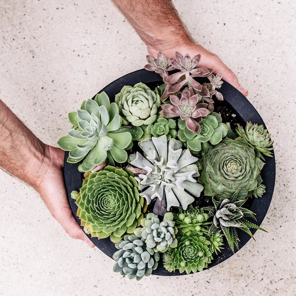 Aquita Handmade Pot Planter | Wayfair North America