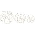 Creative Co-Op Handmade White Coral Shaped Paper & Metal Décor (Set of 3 Sizes) Wall Art | Amazon (US)