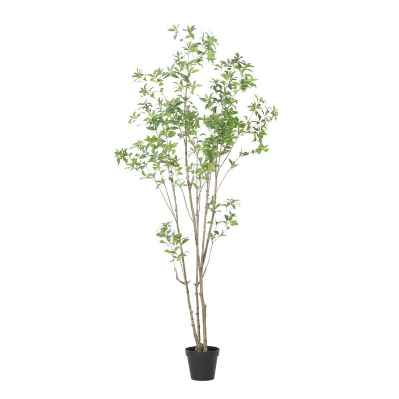 94.5'' Faux Eucalyptus Tree in Planter | Wayfair North America