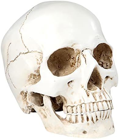 Realistic Life Size Human Skull Model Scary Halloween Skeleton Skull Decor Graveyard Outdoor Hall... | Amazon (US)