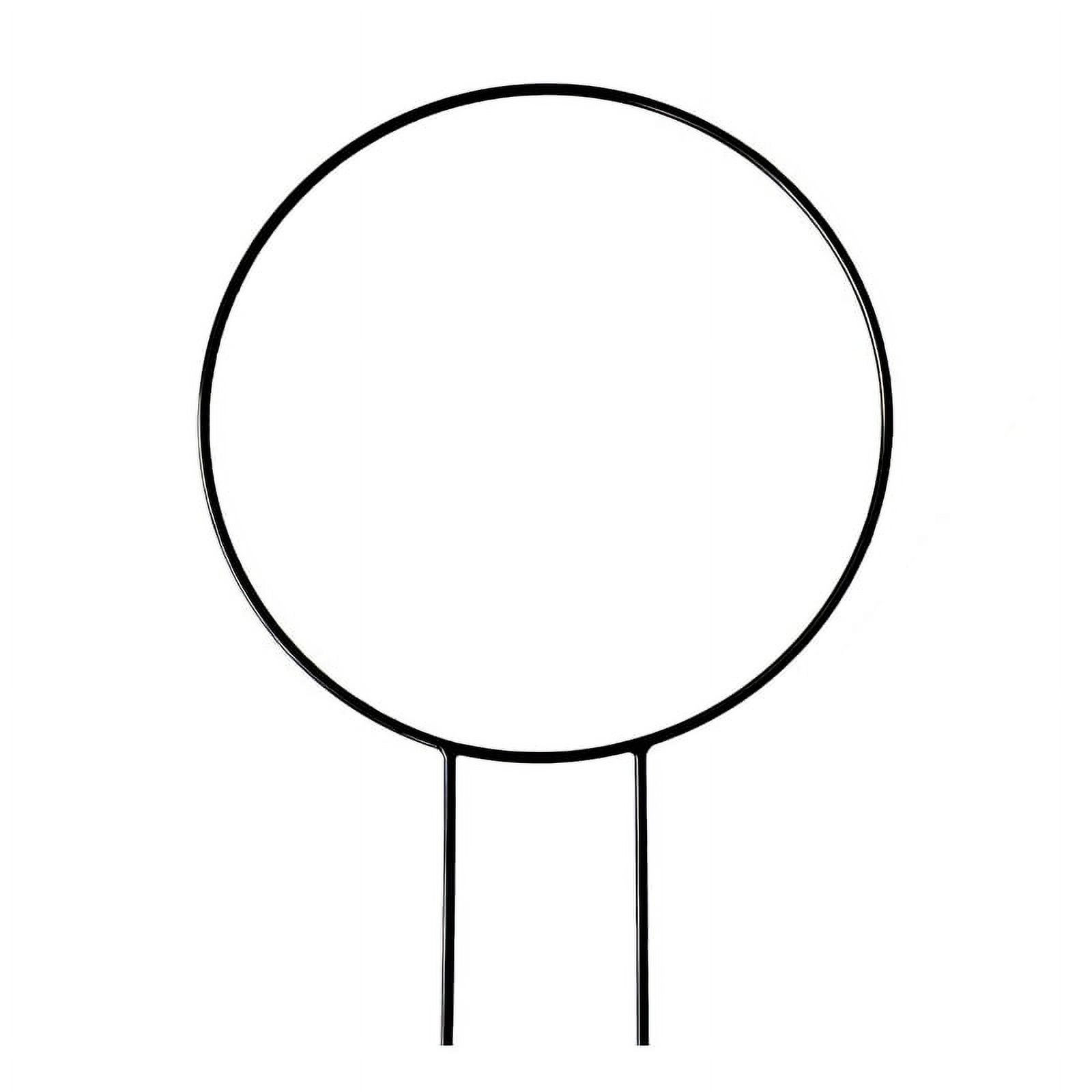 wrea Plant Trellis Circle Trellis For Iron Vine Trellis Potted Plants Flowers Climbing Plants - W... | Walmart (US)