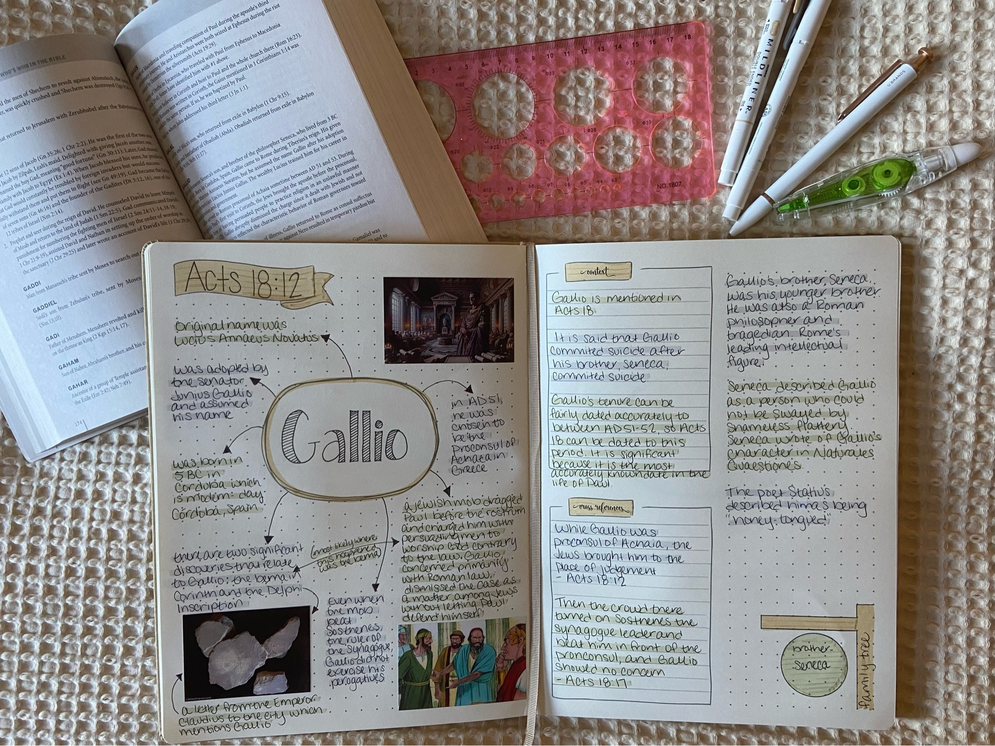 Gallio character study

#LTKU #LTKFindsUnder50 #LTKFindsUnder100