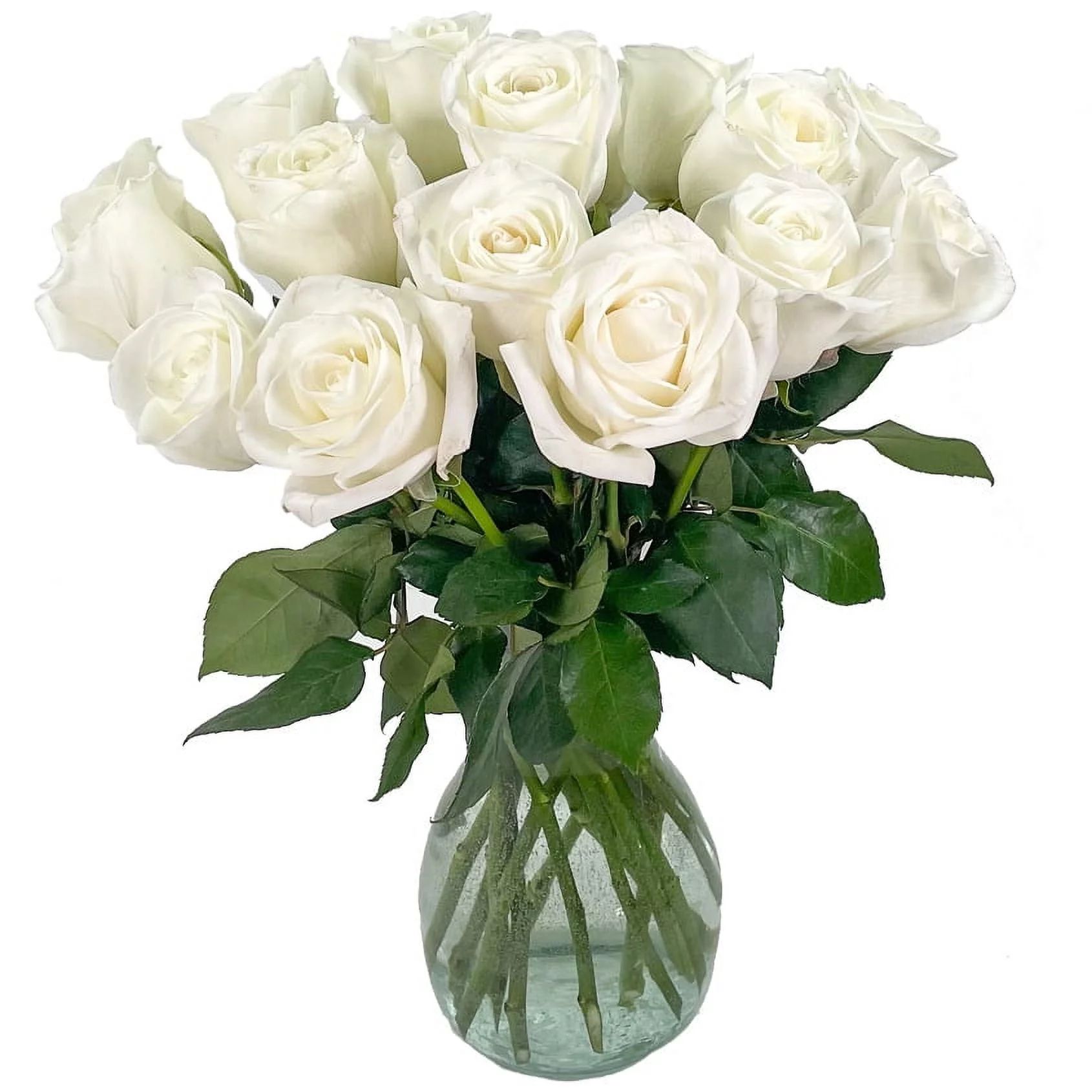 18 Fresh Cut White Roses by Arabella Bouquets with Free Elegant Hand-Blown Glass Vase (Fresh-Cut ... | Walmart (US)