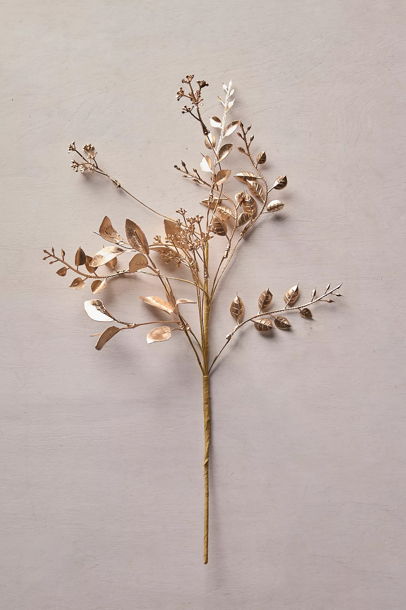 Faux Gilded Winter Stem | Anthropologie (US)