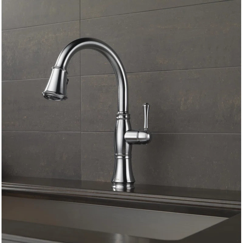 9197-AR-DST Cassidy Pull Down Single Handle Kitchen Faucet with MagnaTite® Docking | Wayfair North America