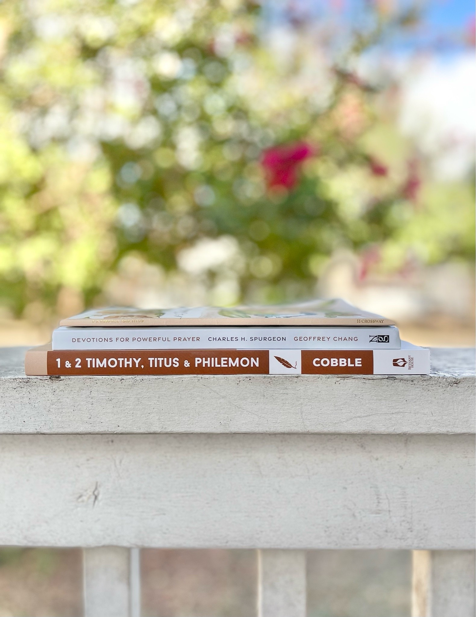 Check out the Bible study, Scripture journal, and devotional I’m using in this season!

#LTKdayinmylife #LTKselfcare #LTKmorningroutine