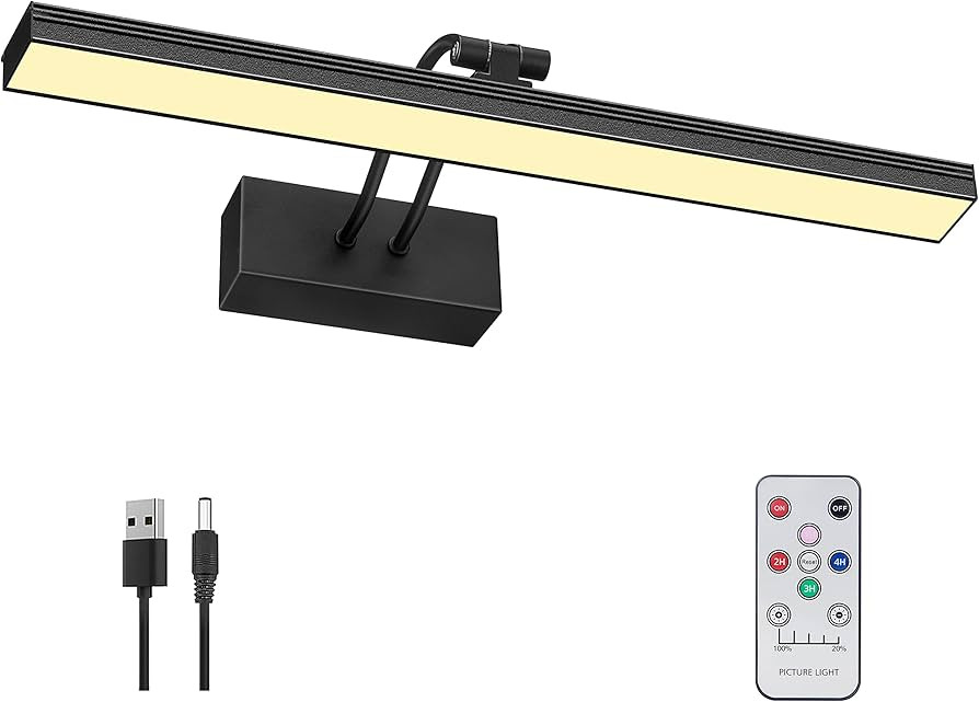 FUNCHDAY Picture Light,3CCT Battery Art Lights for Wall,Wireless Remote Painting Light with Timer... | Amazon (US)