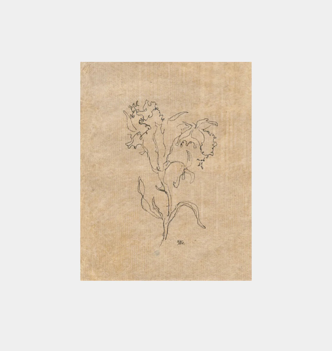 Large Contour Flower | Amber Interiors