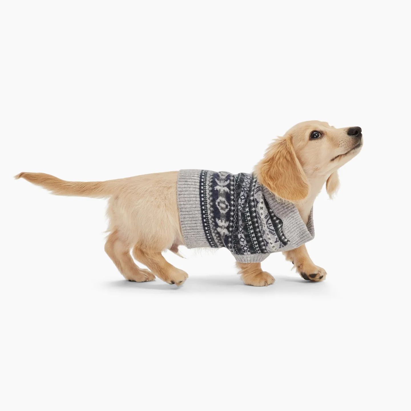 Cashmere Fair Isle Dog Sweater | NAADAM