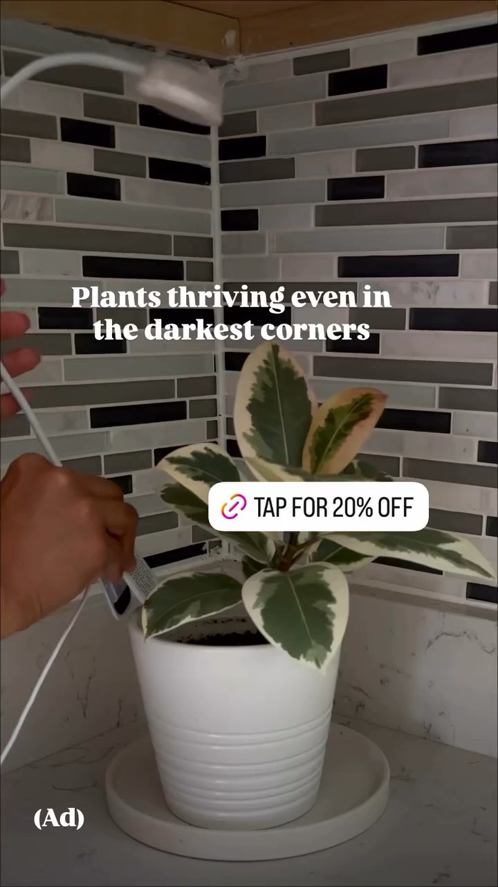 Plants thriving even in the darkest corners 

#LTKstorytime #LTKHome