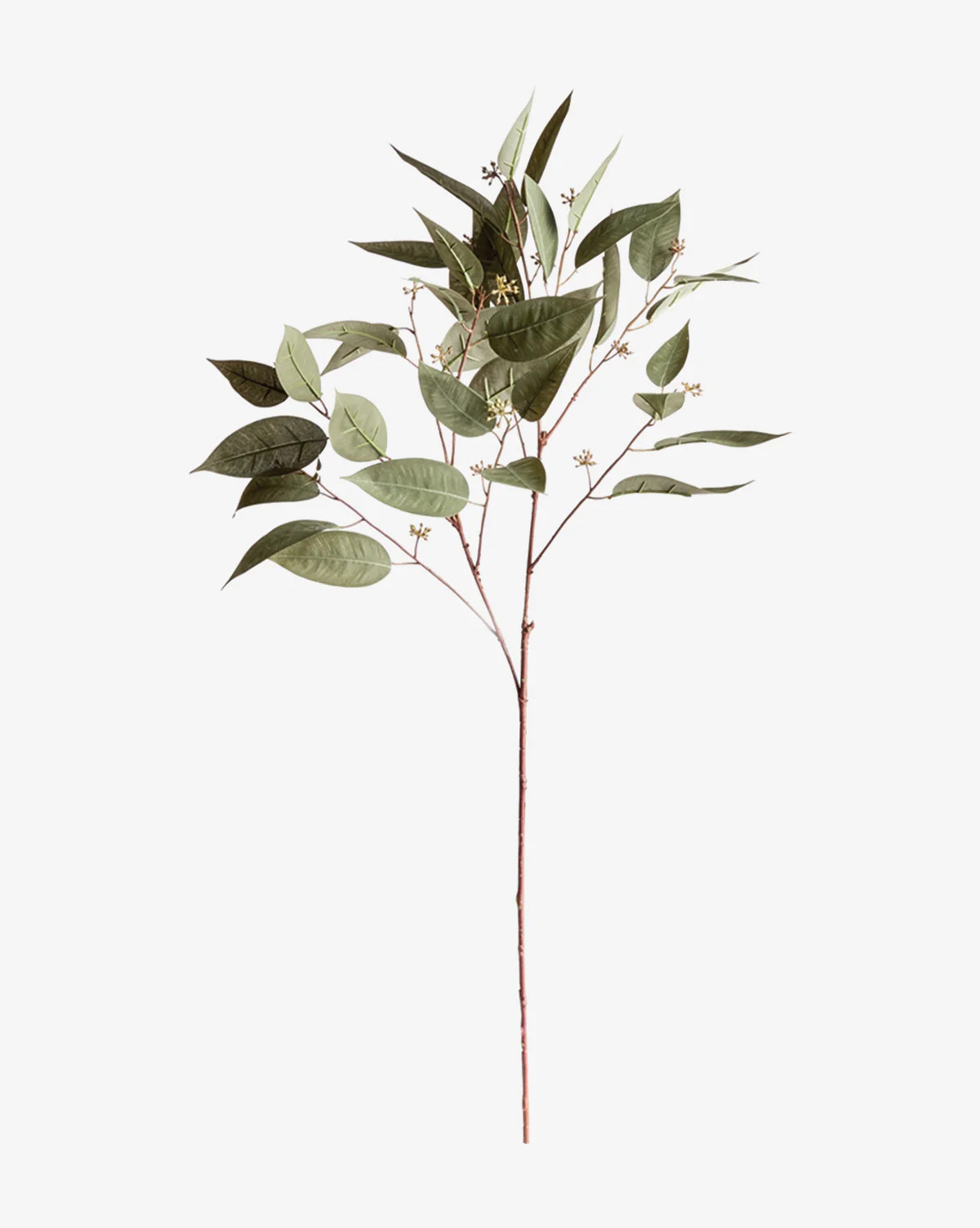 Faux Eucalyptus Seed Stem | McGee & Co. (US)