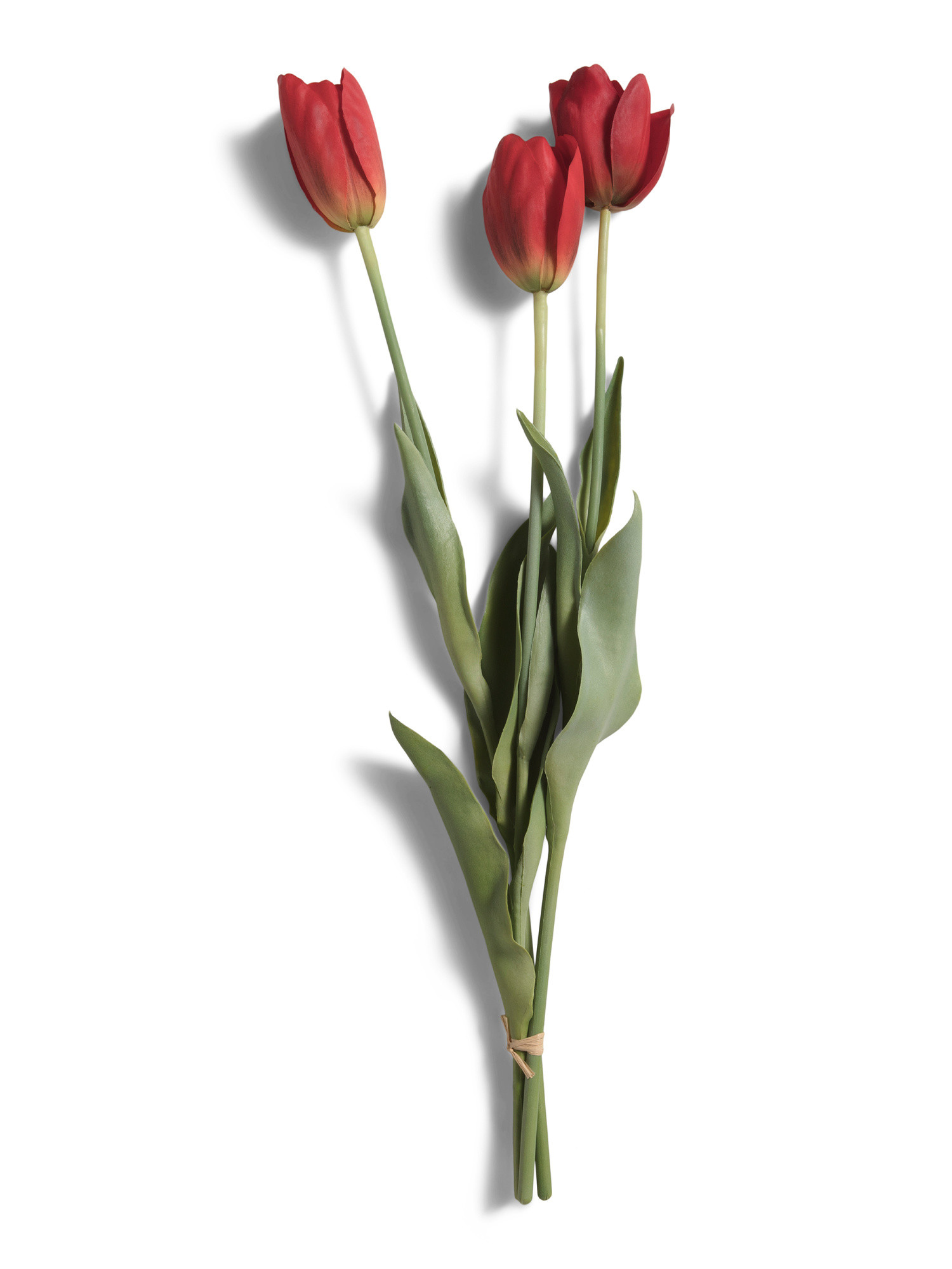 Set Of 3 Faux French Tulips | TJ Maxx