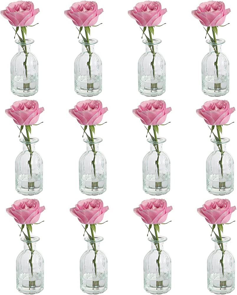 HANIHUA Set of 12 Glass Bud Vases in Bulk, Small Vase for Flowers, Clear Vases Set for Rustic Wed... | Amazon (US)