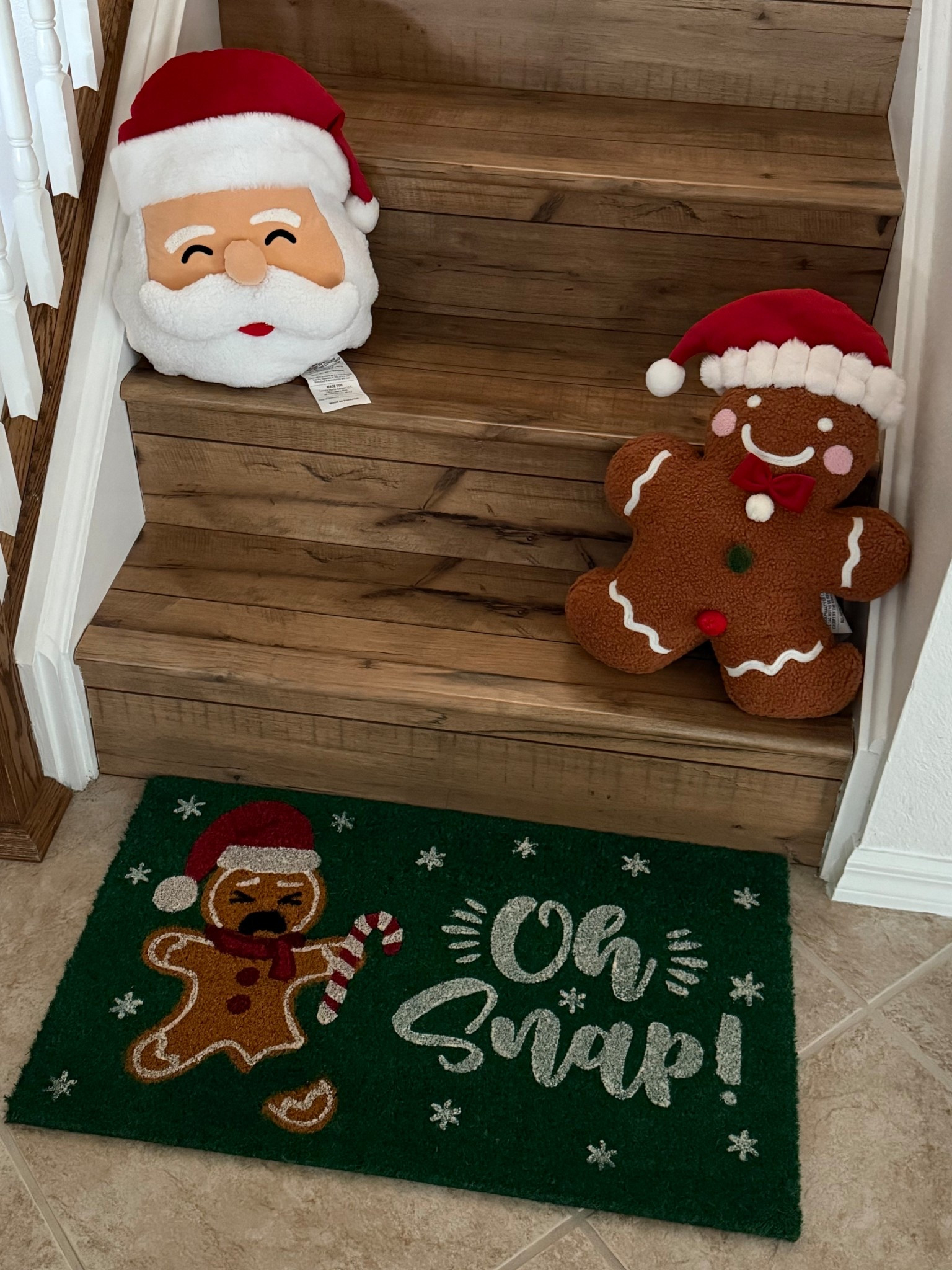 Our Lowe’s Haul! I am obsessed with our new pillows and am already using them! They are so cute and cuddly and comfortable! Unfortunately the doormat is not online yet but I did link some other options that I think you will love! 

#LTKHome #LTKHoliday #LTKFindsUnder50