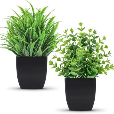 Der Rose 2 Pack Fake Plants Small Artificial Potted Plants Faux Plants In Black Pots For Home Office Desk Bathroom Decor Indoor | Wayfair North America