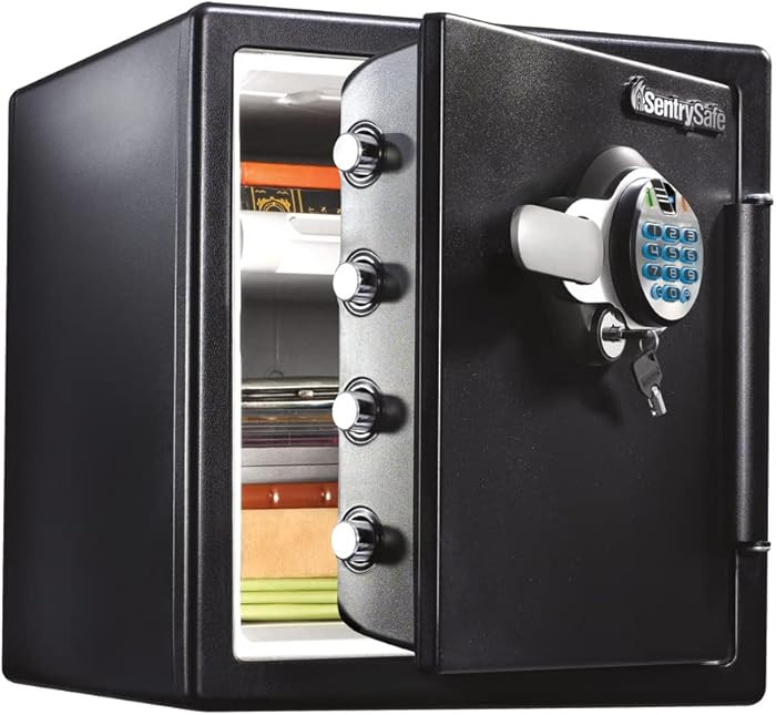 SentrySafe Fireproof and Waterproof Home Safe with Biometric Fingerprint Lock, Keypad, and Key Lo... | Amazon (US)