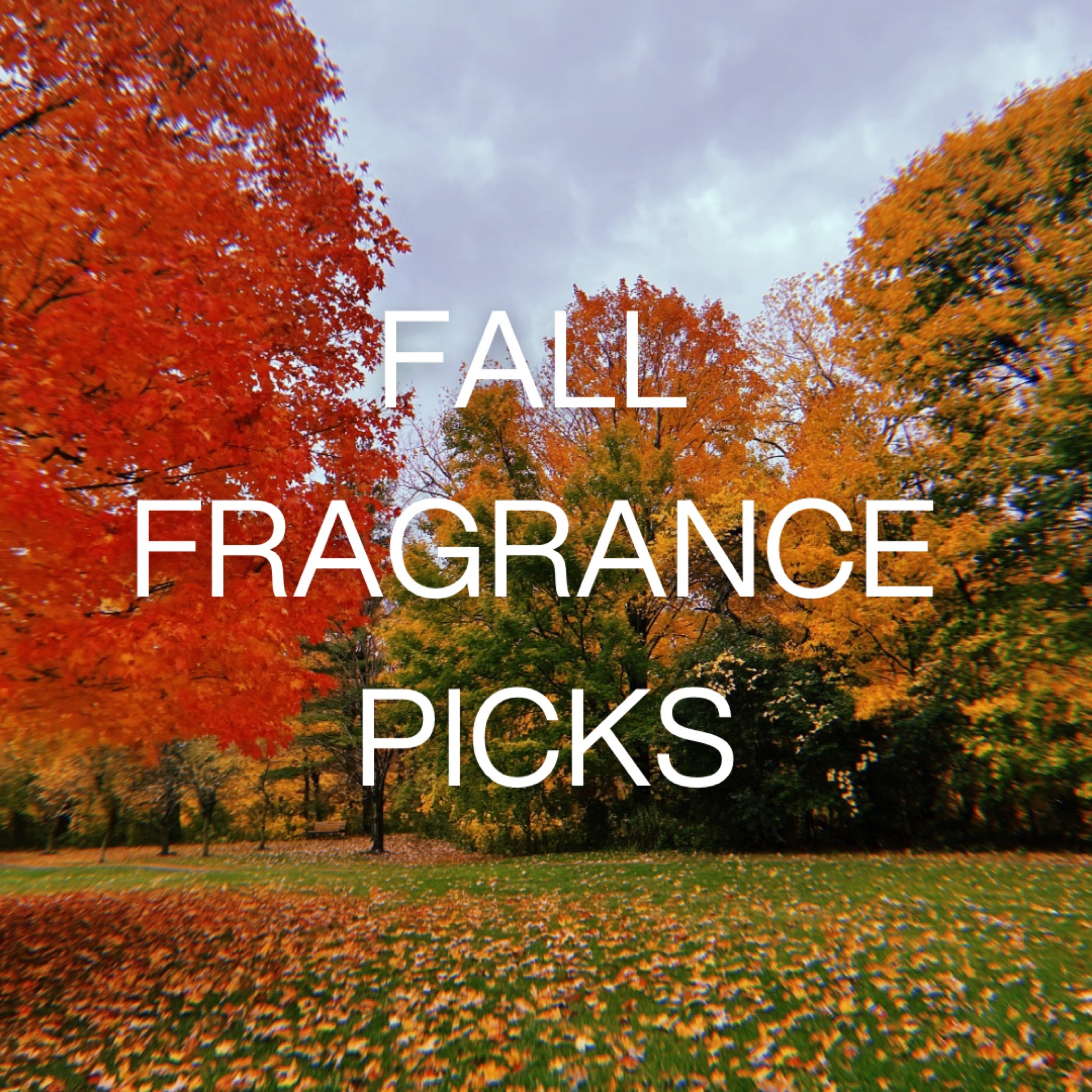 Some of my fav Fall scents ever. Most of them do lean either woodsy or leathery, but there’s some other spicy standouts 🍁

#LTKSeasonal #LTKBeauty