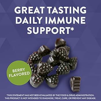 Nature’s Way Sambucus Elderberry Gummies, With Vitamin C, Vitamin D and Zinc, Immune Support fo... | Amazon (US)