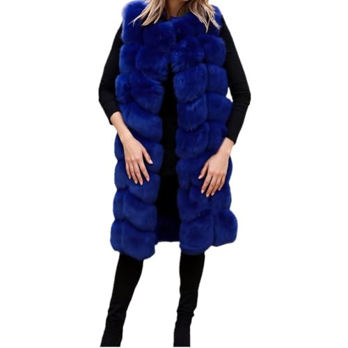 Lisa Colly Womens Sleeveless Faux Fur Vest Winter Coat (Blue, M) | Amazon (US)