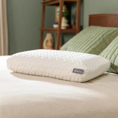 Tempur-Cloud Extra Plush Pillow | Wayfair North America