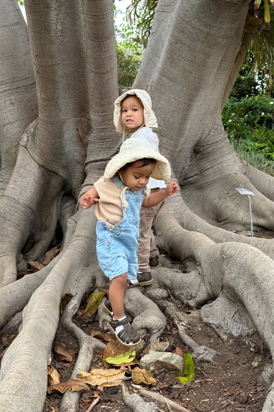 the dreamiest baby sun hats ✨

#LTKkids #LTKfamily #LTKbaby