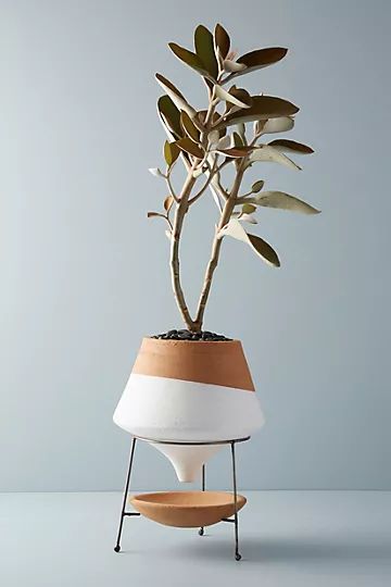 Dipped Clay Pot + Stand | Anthropologie (US)