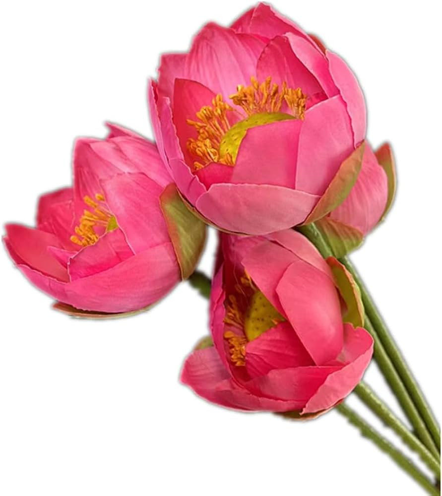 4X Artificial Lotus Flower Stem Faux Water Lily Blossom Branch for Shop Window Office Hotel Flora... | Amazon (US)